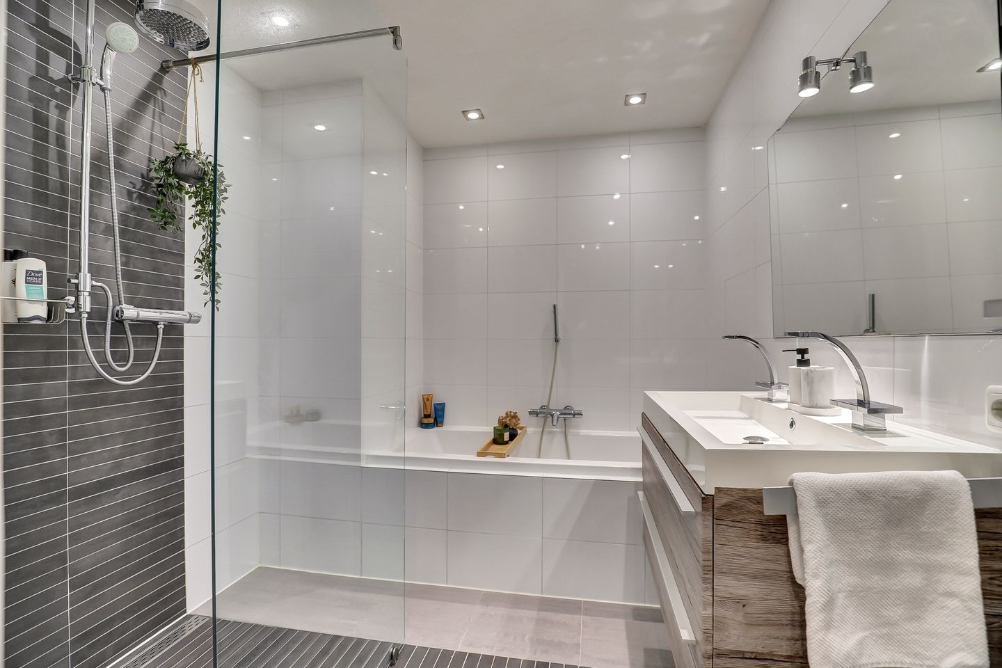 Photo 4 of Westerpark 32