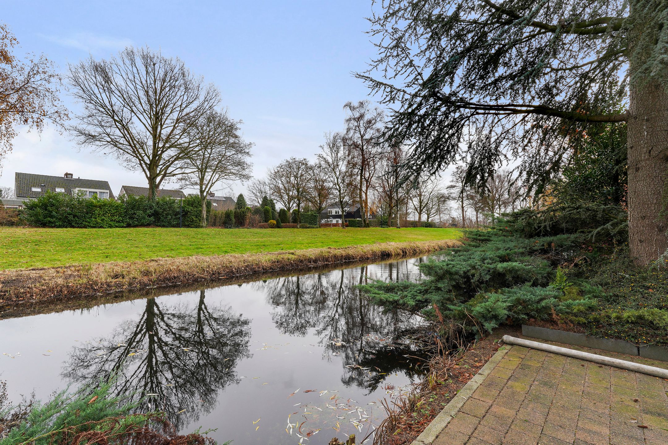 Photo 36 of Maasland 40