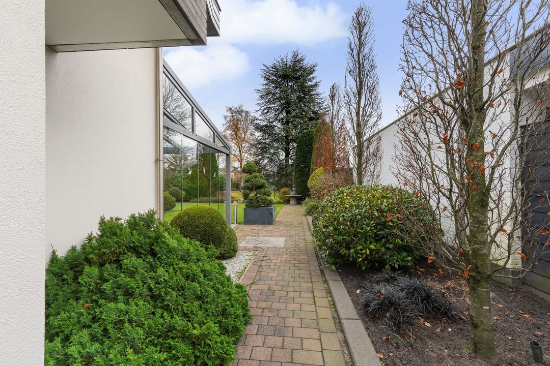 Photo 37 of Maasland 40