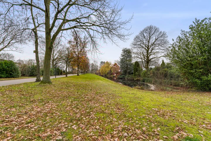 Photo 44 of Maasland 40