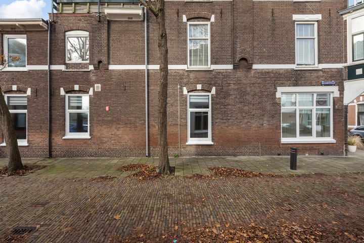 Foto 39 van Joubertstraat 20-ZW