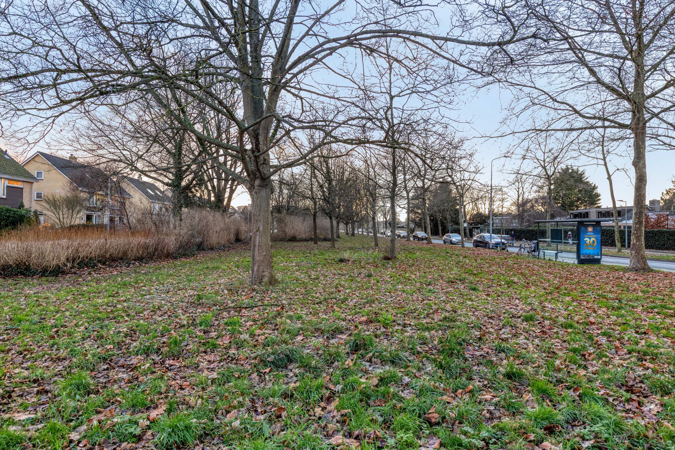 Photo 36 of Lichterstraat 35