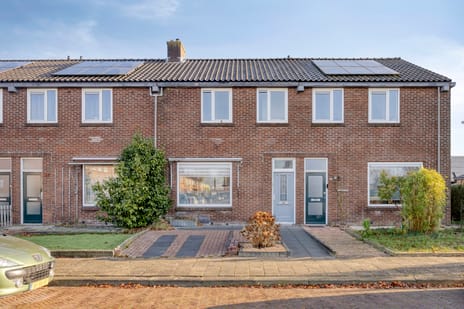 undefined main image