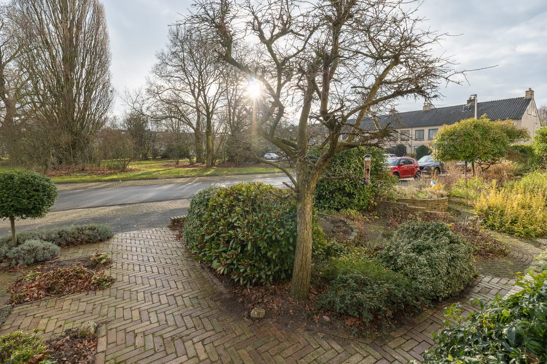 Foto 38 van Damhertlaan 61