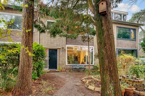 Eekhoornlaan thumbnail