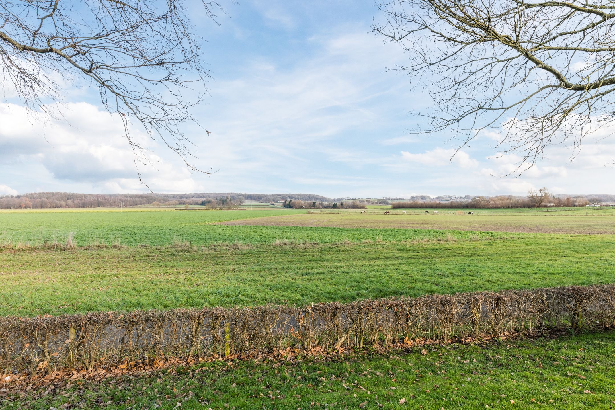 Foto 27 van Ambyerstraat Noord 3-B01