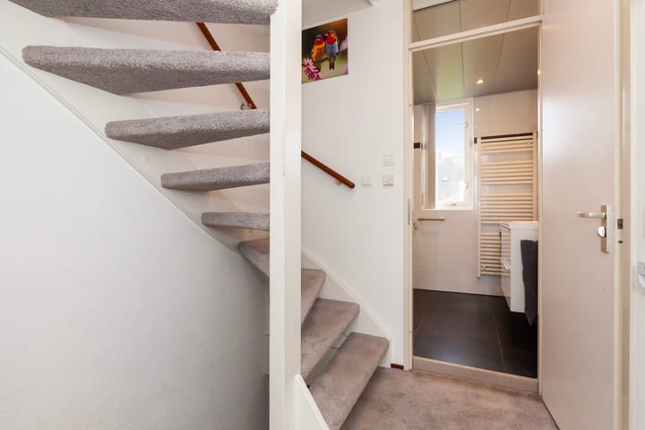 Foto 14 van Krulmos 30