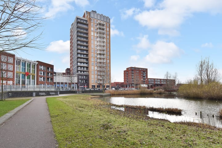 Foto 2 van Westerschelde 338