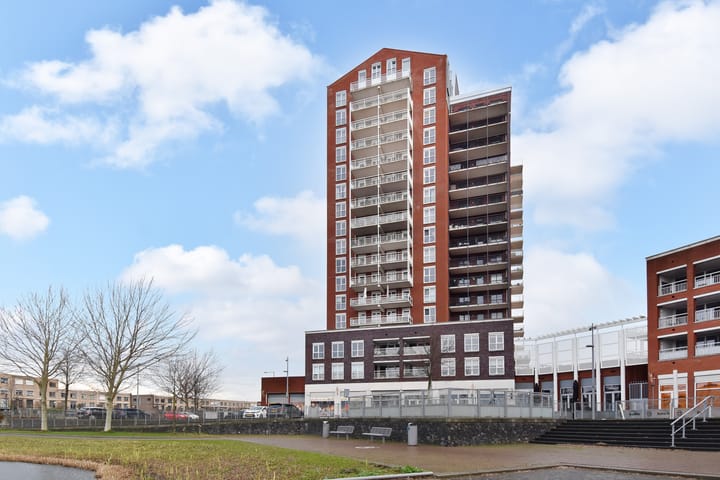 Foto 4 van Westerschelde 338