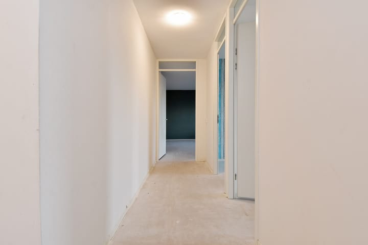 Foto 13 van Westerschelde 338