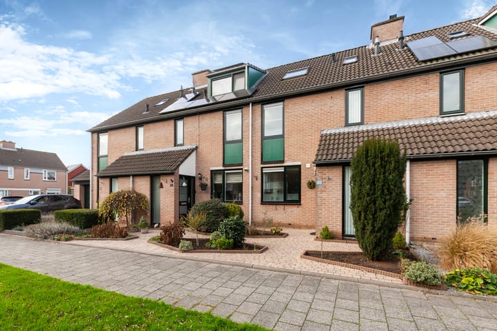 Foto 35 van Krulmos 30