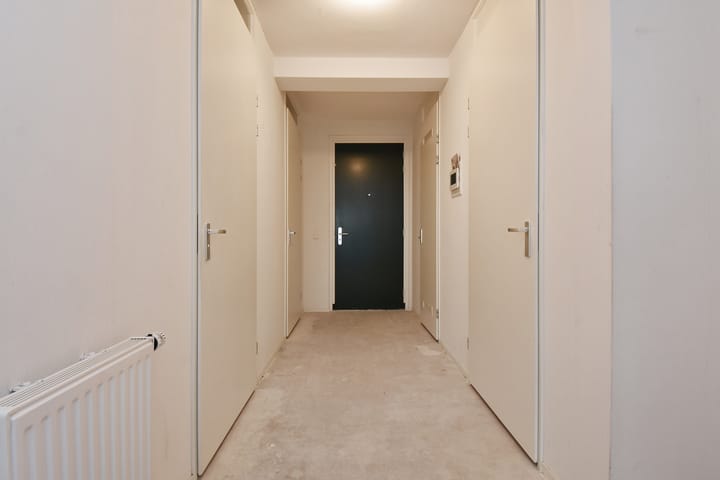 Foto 6 van Westerschelde 338