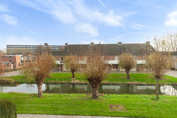 Foto 36 van Krulmos 30