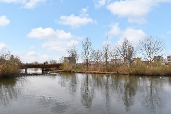 Foto 3 van Westerschelde 338