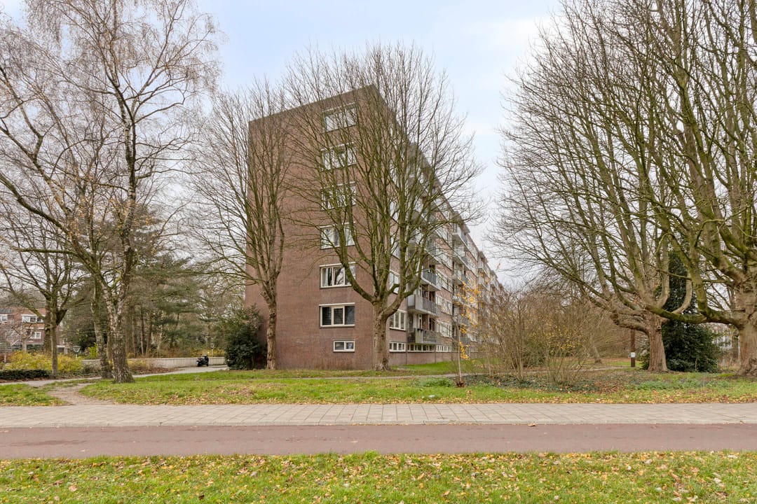 Foto 38 van Cederstraat 153