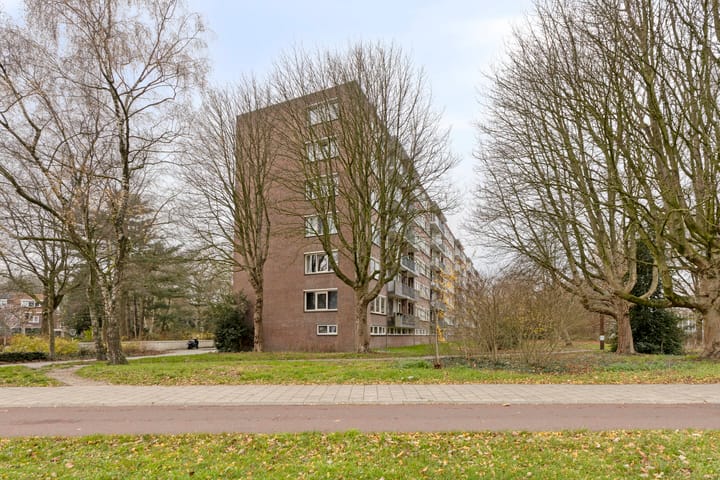 Foto 38 van Cederstraat 153