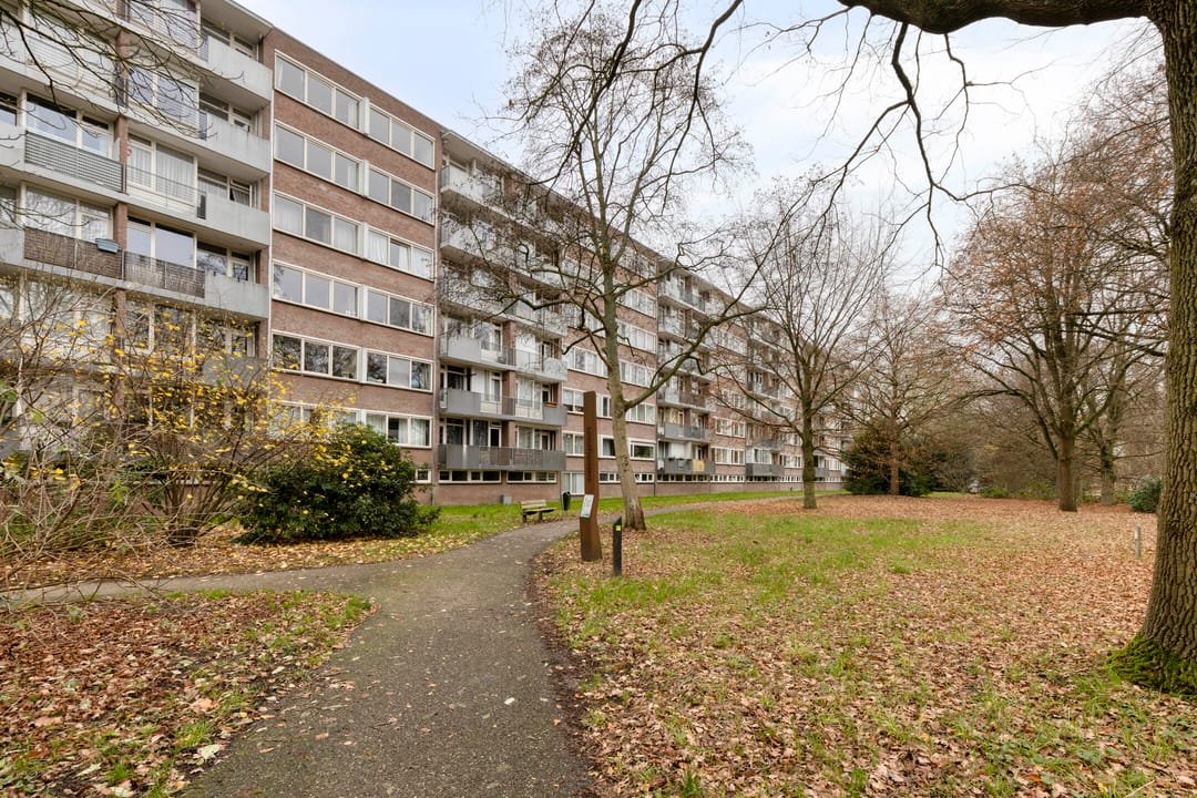 Foto 37 van Cederstraat 153