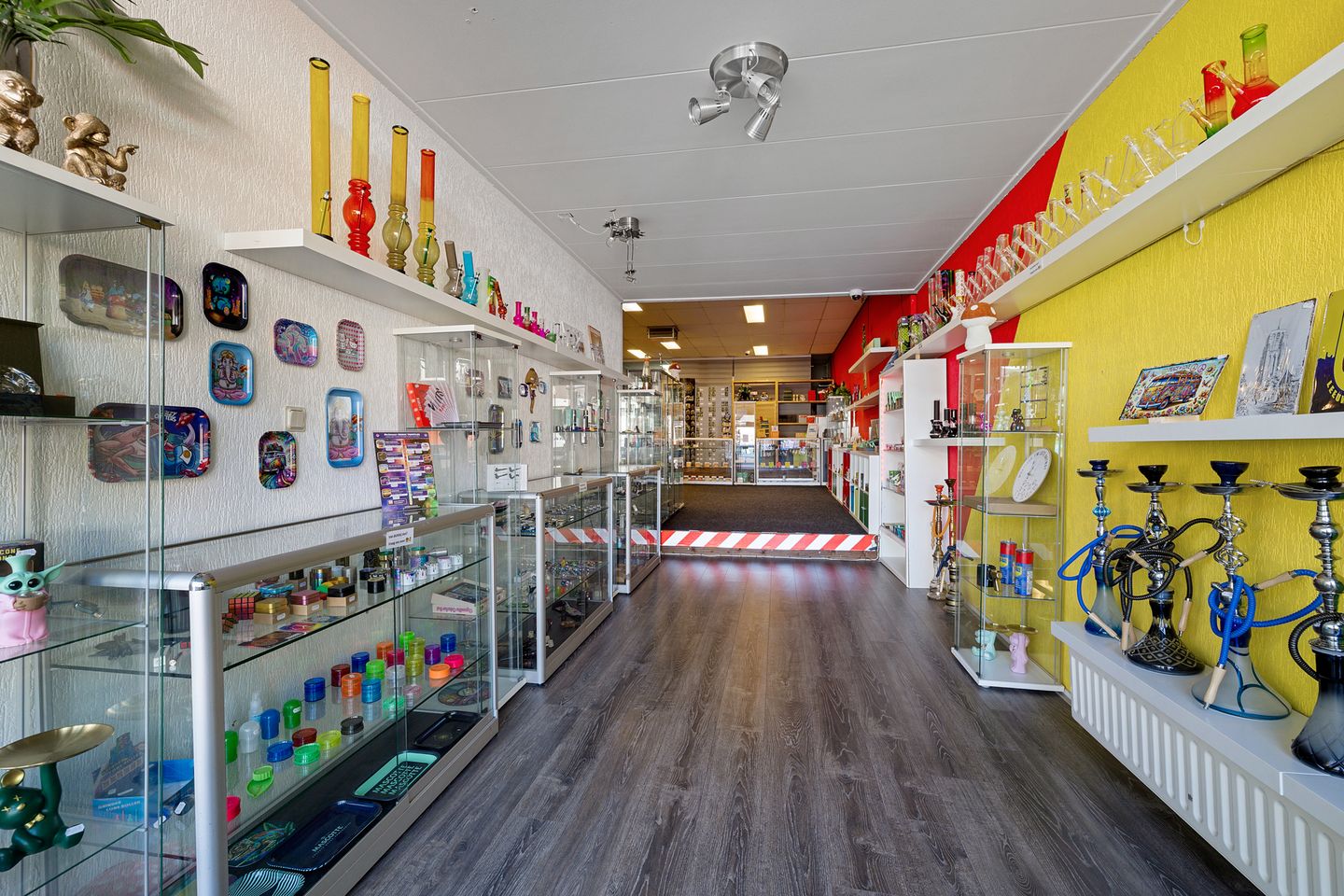 Foto 10 van Zuidvliet 118