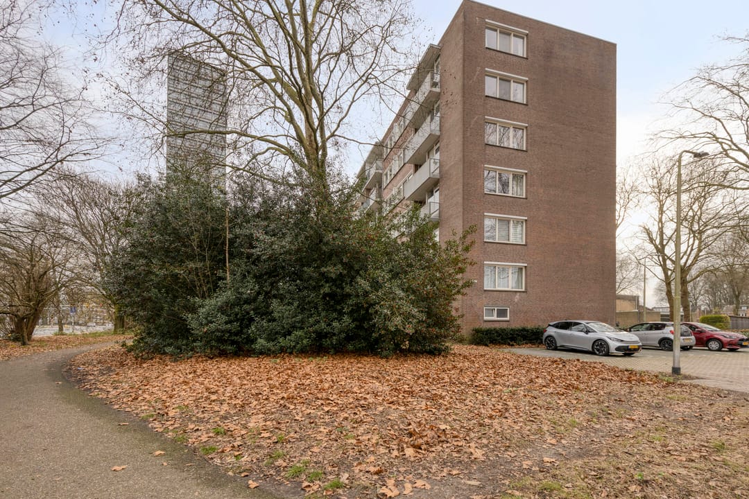 Foto 41 van Cederstraat 153