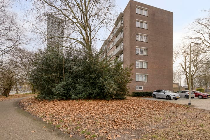 Foto 41 van Cederstraat 153