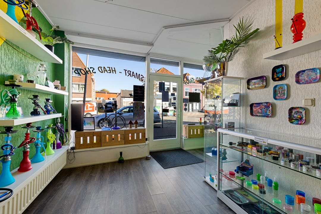 Foto 11 van Zuidvliet 118