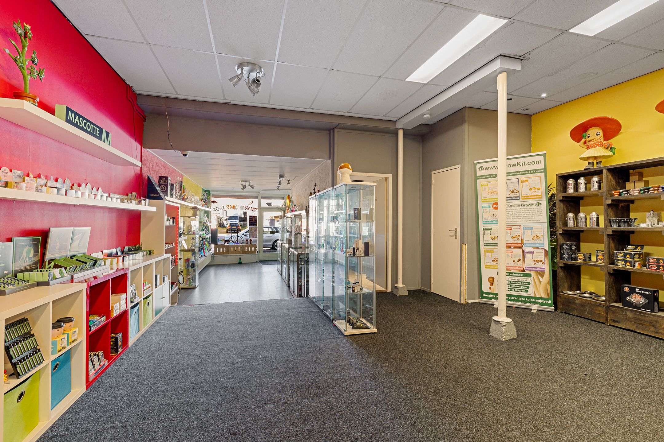 Foto 12 van Zuidvliet 118