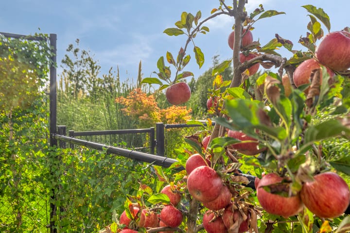 Foto 32 van Soetelaer 21