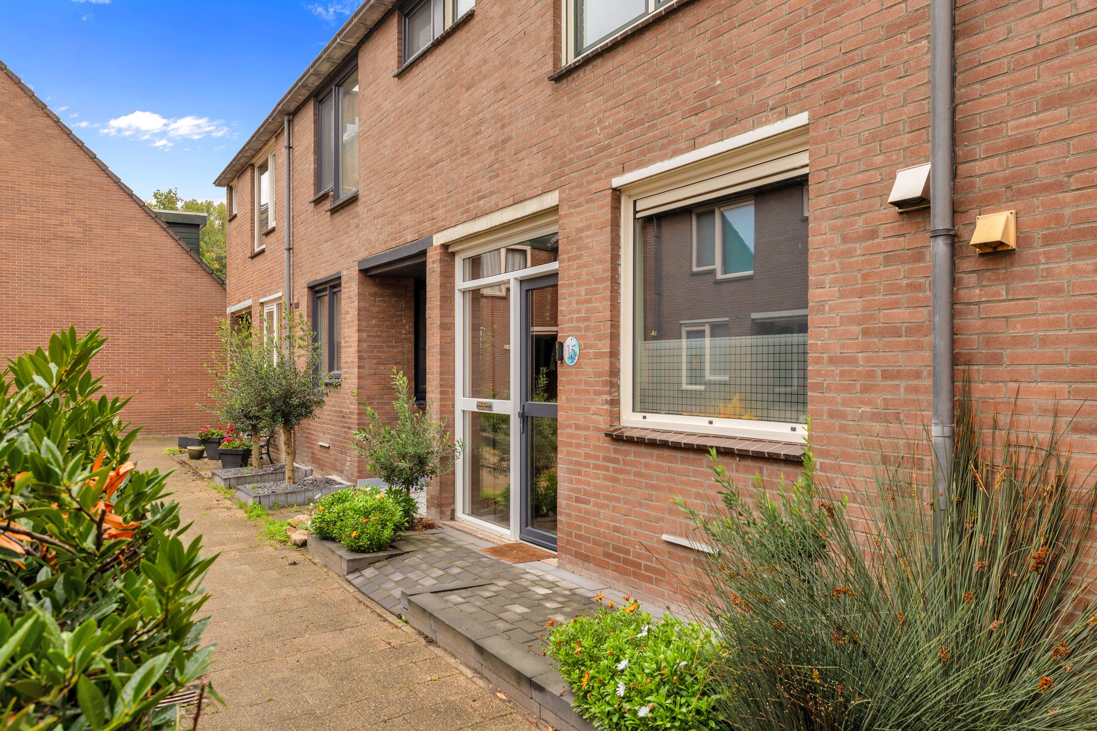 Photo 39 of Jasmijn 15