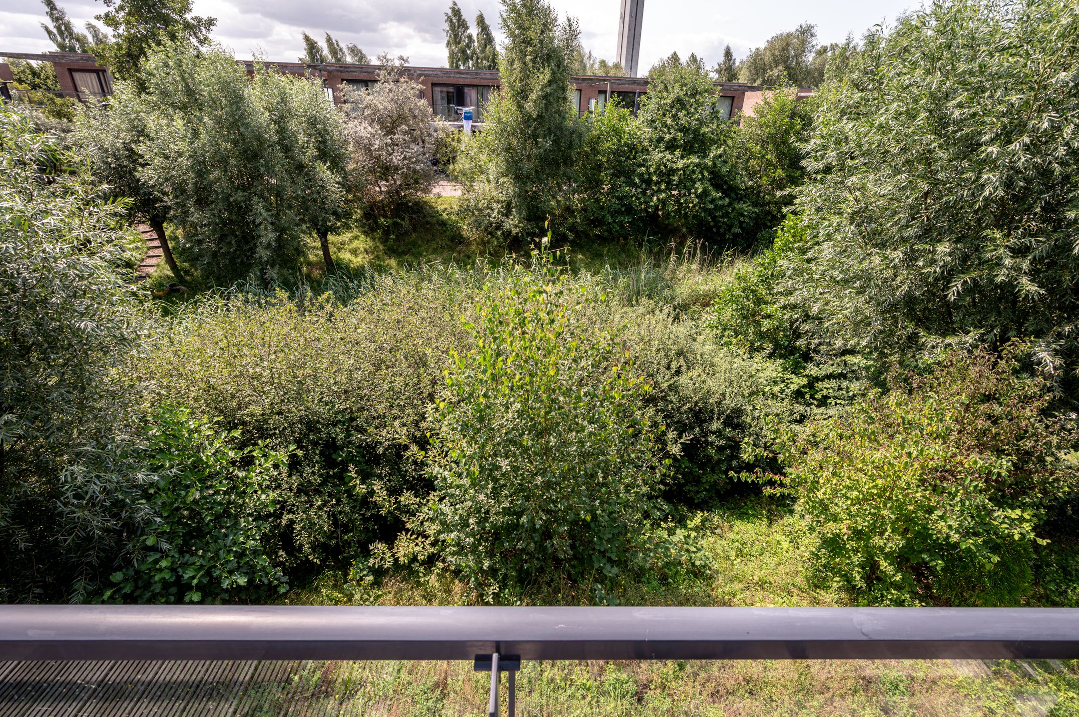 Photo 15 of Duinvoet 46