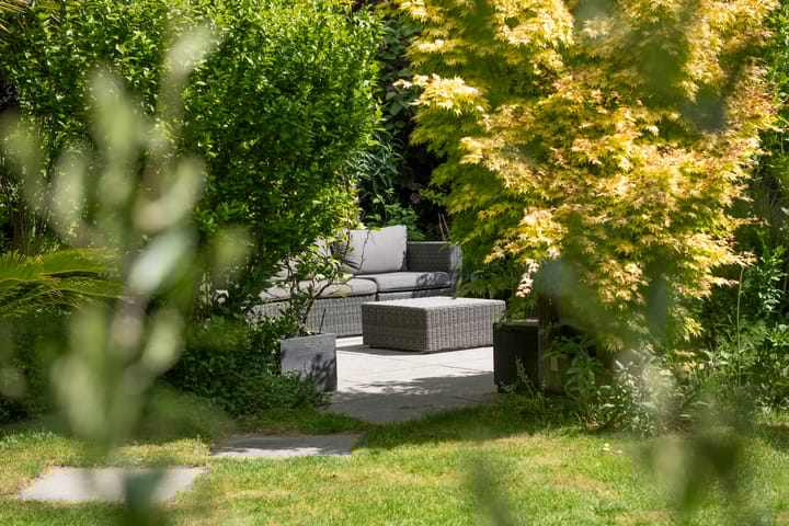 Foto 50 van Laan van de Geallieerden 15