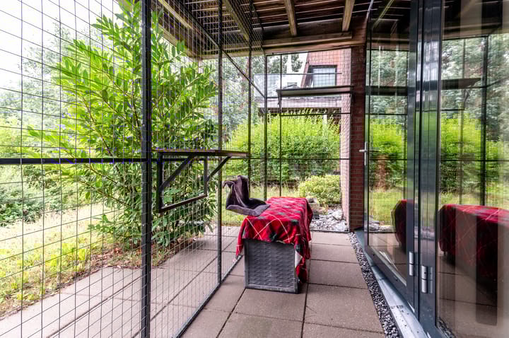 Foto 34 van Duinvoet 46