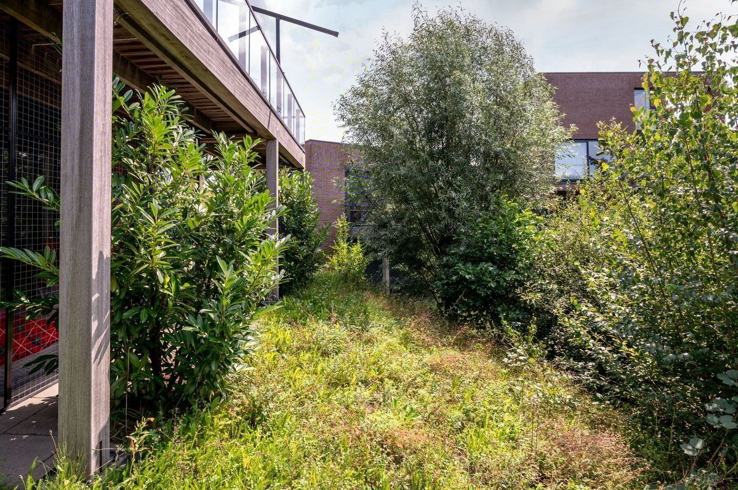 Photo 35 of Duinvoet 46