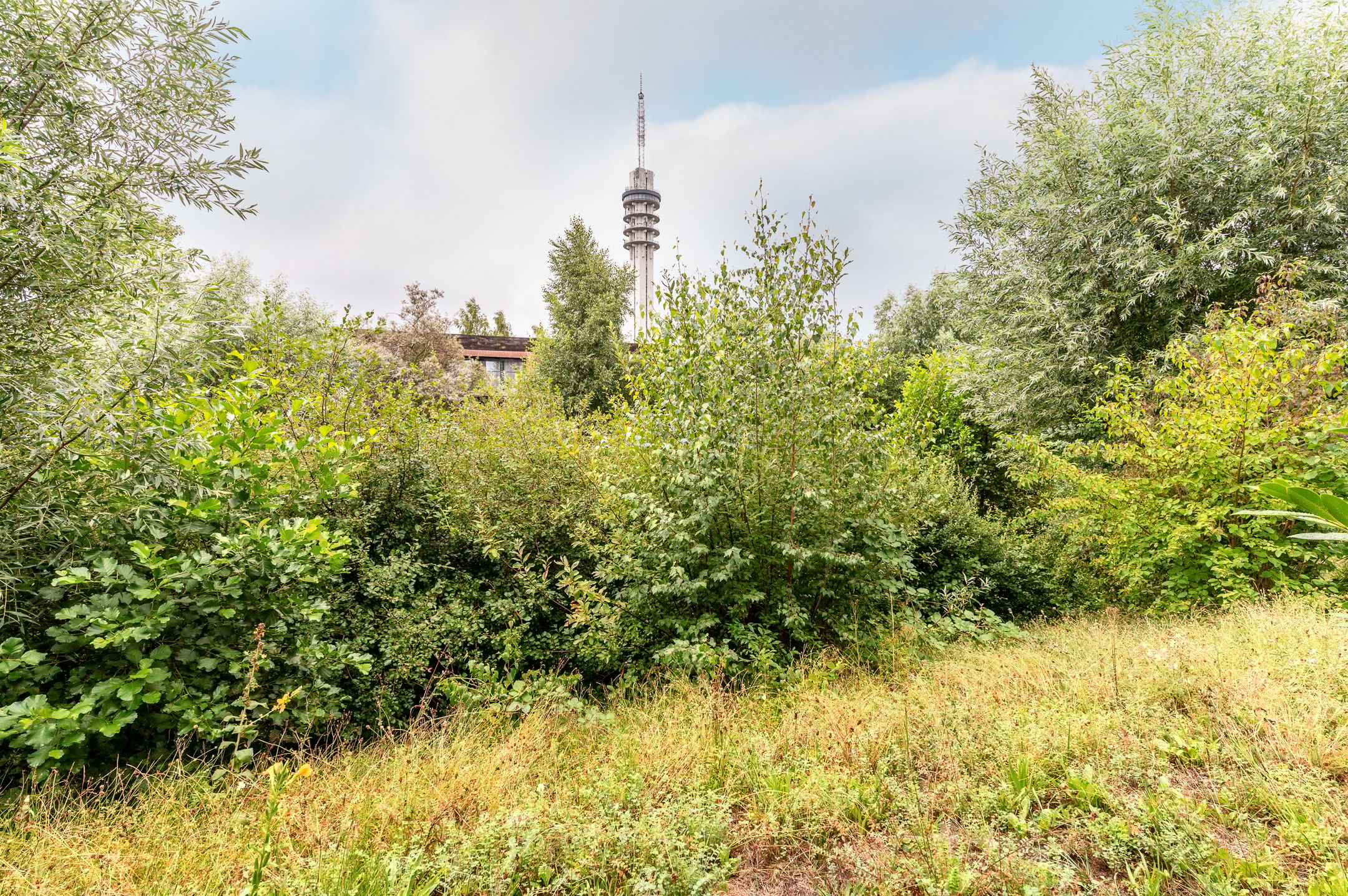 Photo 36 of Duinvoet 46