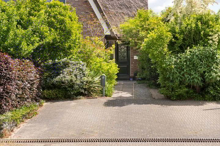 Foto 60 van Laan van de Geallieerden 15