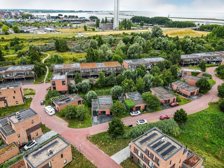 Foto 46 van Duinvoet 46