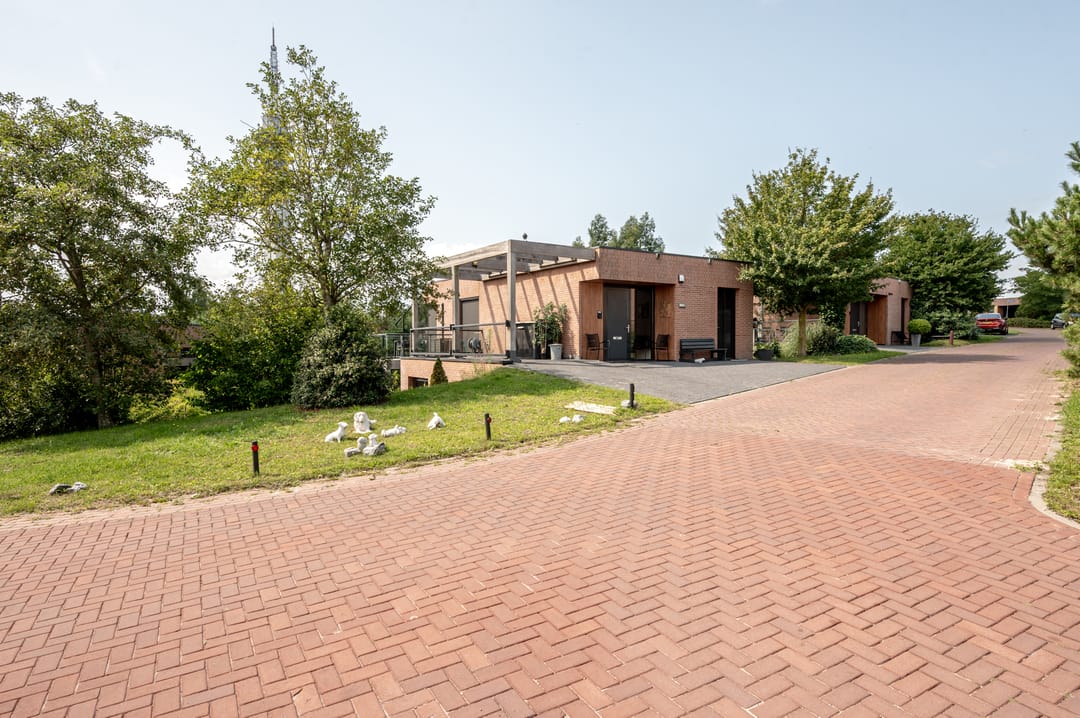 Photo 41 of Duinvoet 46