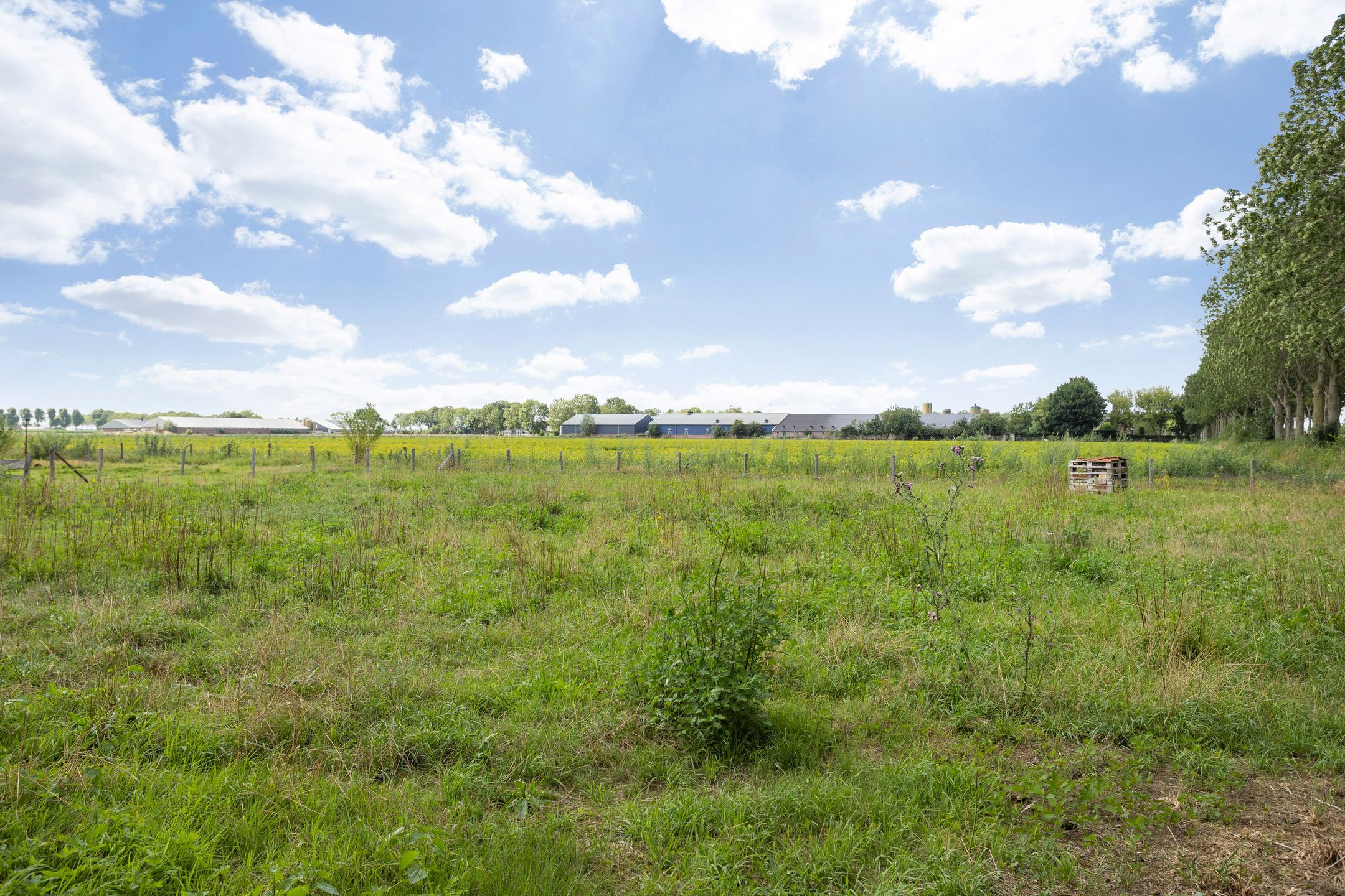 Foto 78 van Kerkdijk 4