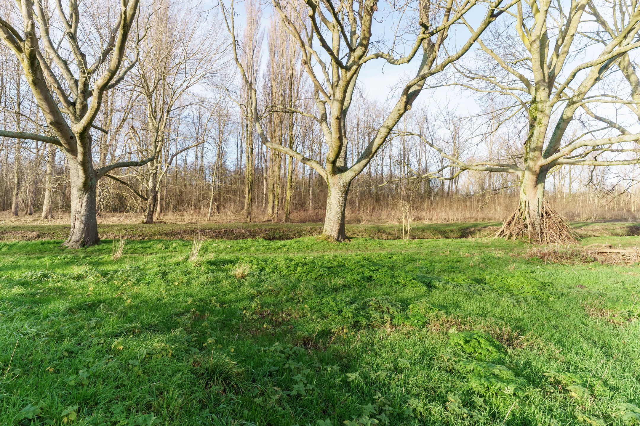 Foto 27 van Rommesingel 26