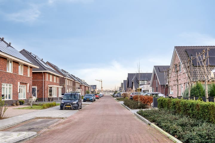 Foto 43 van Blauwvlas 20