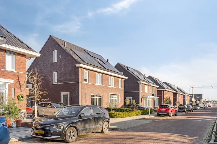 Foto 46 van Blauwvlas 20