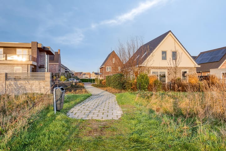 Foto 50 van Blauwvlas 20