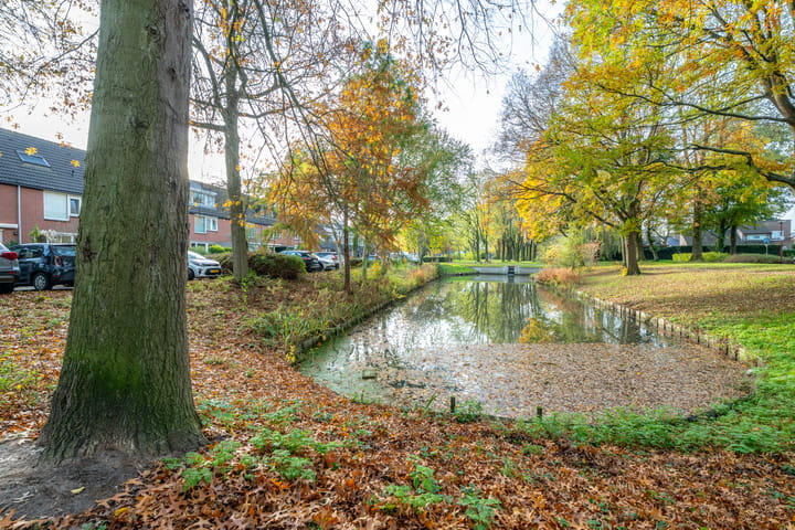 Foto 42 van Mispelgaarde 19