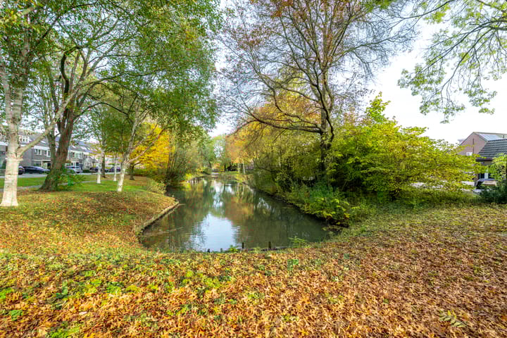 Foto 43 van Mispelgaarde 19