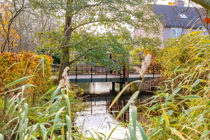 Photo 39 of Beetswende 11