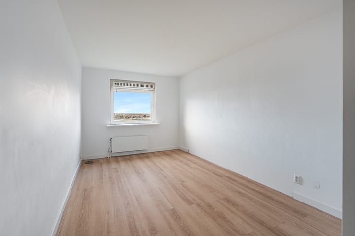 Foto 15 van Hekla 42