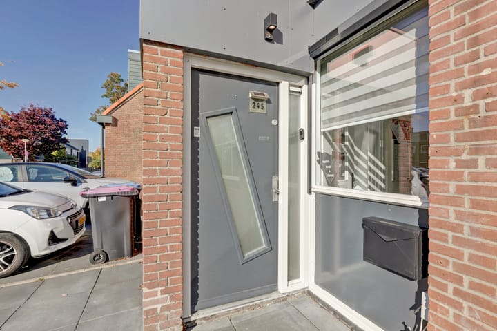 Foto 4 van Libelleveen 245