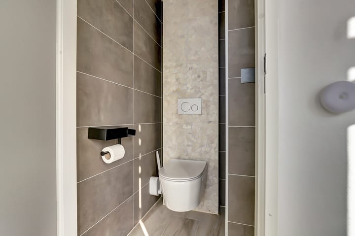 Foto 12 van Libelleveen 245