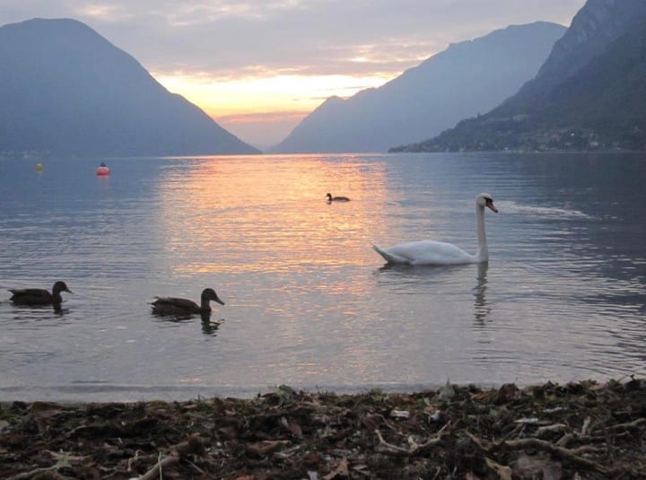 Foto 2 van 32 Porlezza