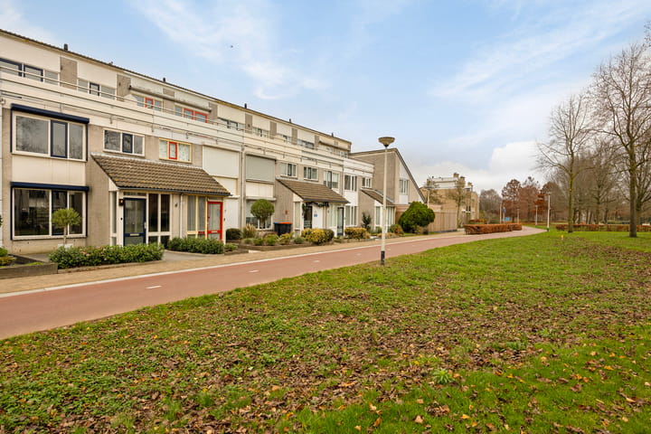 Foto 42 van Lobeliaberg 74