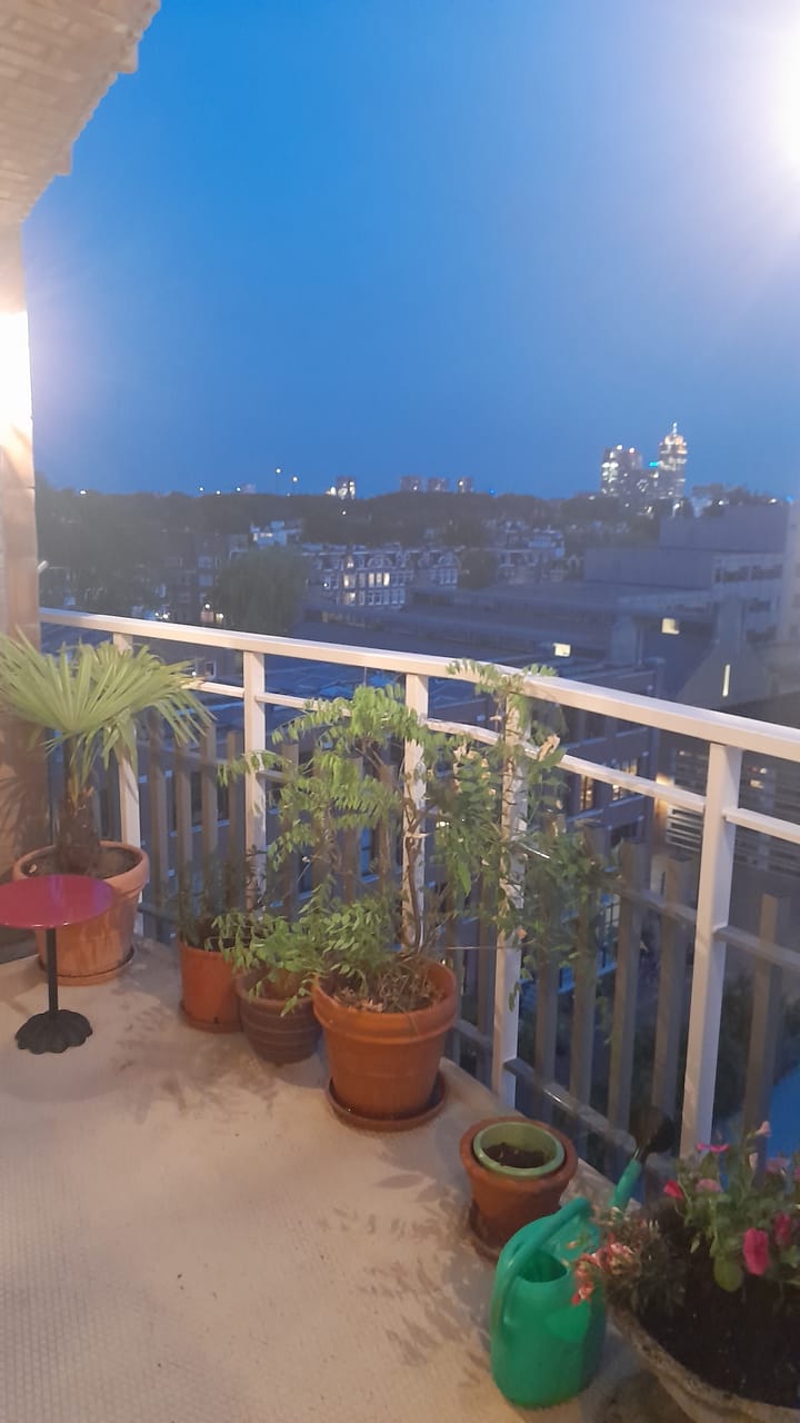 Foto 35 van Paradijsplein 90